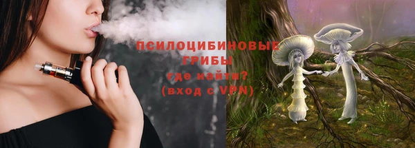 дживик Богданович