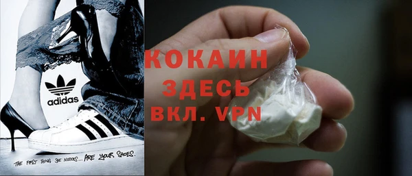 шишки Бронницы