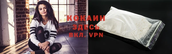 шишки Бронницы
