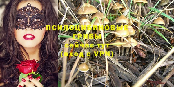 прущие крисы Балабаново